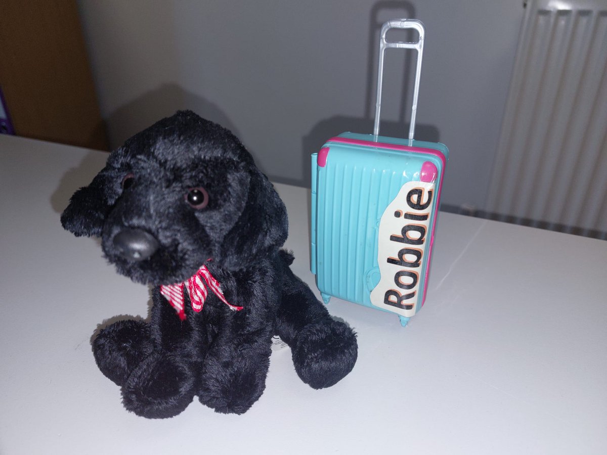 mini_robbie's tweet photo. What should I pack? https://t.co/H8DwhGTaIj
