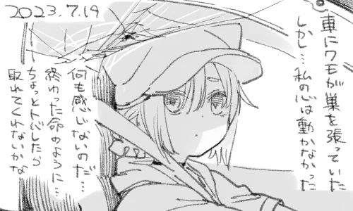 クモだって巣くらい張るでしょう 生きてるんだもの
