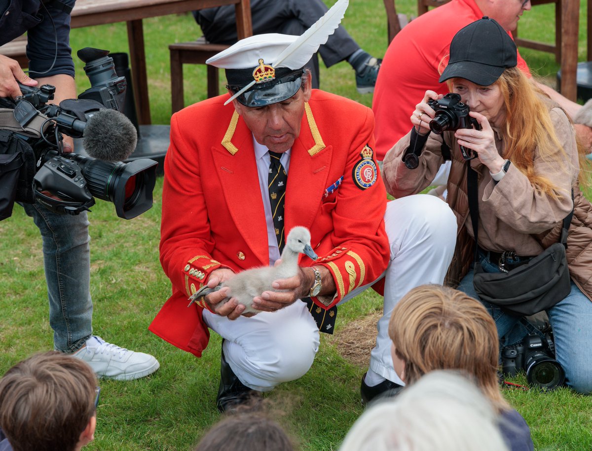 JohnMTippetts's tweet photo. Education is a very important part of #SwanUpping &amp; local schools are invited to meet the Swan Uppers. The Mayor of Henley presented a school with a certificate of attendance from the King's Swan Marker! The children also got to see 2 very young orphaned cygnets at close quarters https://t.co/gvocQwqys4