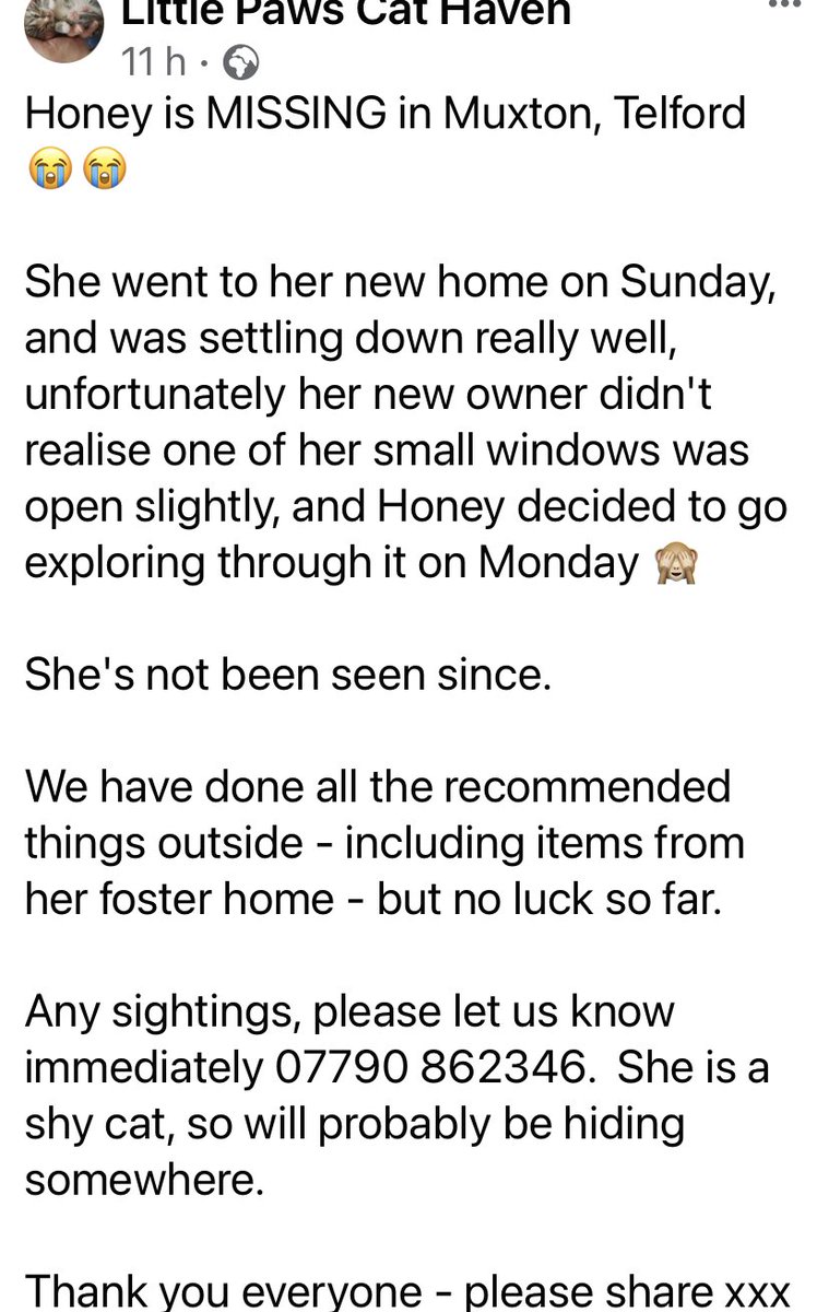 littlepawsbilly's tweet photo. Missing from #Muxton in #Telford in #Shropshire. Newly adopted but escaped by a tiny window gap. #lostcat #rescuecats
OBVIOUSLY they’ve tried looking, leaving the litter tray out etc. She’s chipped. #CalicoCrew #CatsOfTwitter https://t.co/uEbiUTwyEy