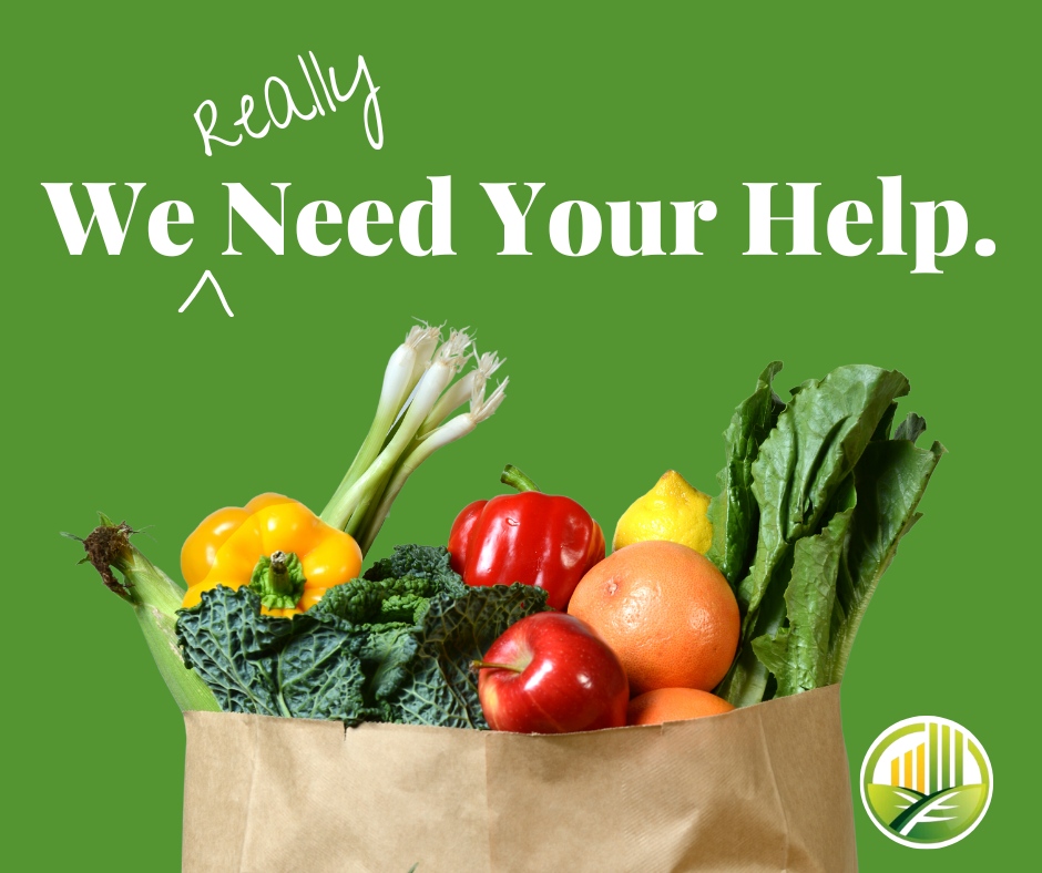 We've been blown away by the generosity shown from our summer appeal for funds, but we aren't all the way to our goal yet. Can you help today with a one time gift or to sign up as a monthly donor? #NeighboursHelpingNeighbours

barrhavenfoodcupboard.ca/donate/