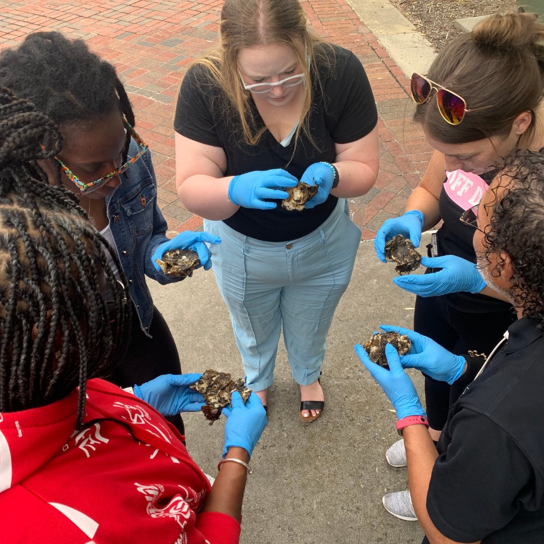 We ❤️ oysters! 🦪 Thank you to all the <a href="/BaltCitySchools/">Baltimore City Public Schools</a> teachers who joined us for #HarborScholars last week.  <a href="/TowsonU/">Towson University</a> 

Learn more about Harbor Scholars: towson.edu/fcsm/centers/s…