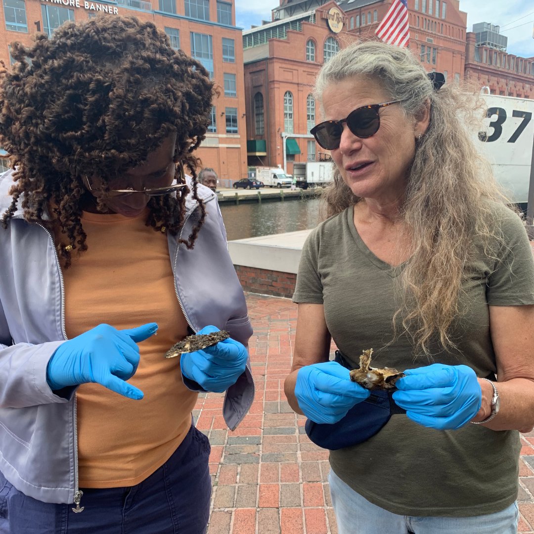 HealthyHarbor's tweet photo. We ❤️ oysters! 🦪 Thank you to all the @BaltCitySchools teachers who joined us for #HarborScholars last week.  @TowsonU 

Learn more about Harbor Scholars: https://t.co/GMTHWhLeDK https://t.co/dWBwiCAFW7