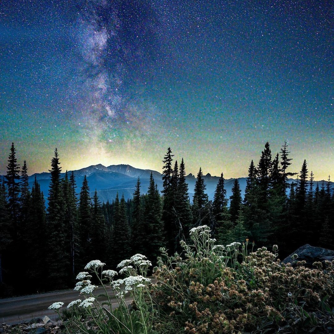 Manningpark's tweet image. &apos;For my part, I know nothing with any certainty, but the sight of the stars makes me want to dream.&apos; Quote - Vincent Van Gogh

📸  Thank you to @ashclicks09 for sharing this stunning picture with us!

#NightSky #Stargazing #Manningpark #Astrophotography #Darksky #vincentvangogh