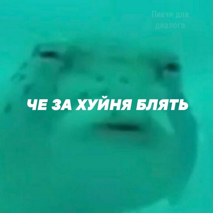 𝐦𝐦𝐞𝐢𝐥𝐢𝐨𝐧 tweet media