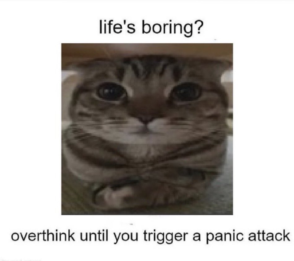 literallymecats's tweet photo. https://t.co/a4SuZJwCMX