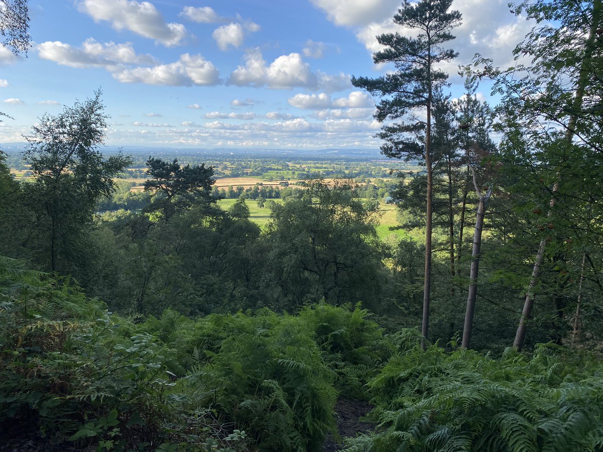 Claire Guy tweet media