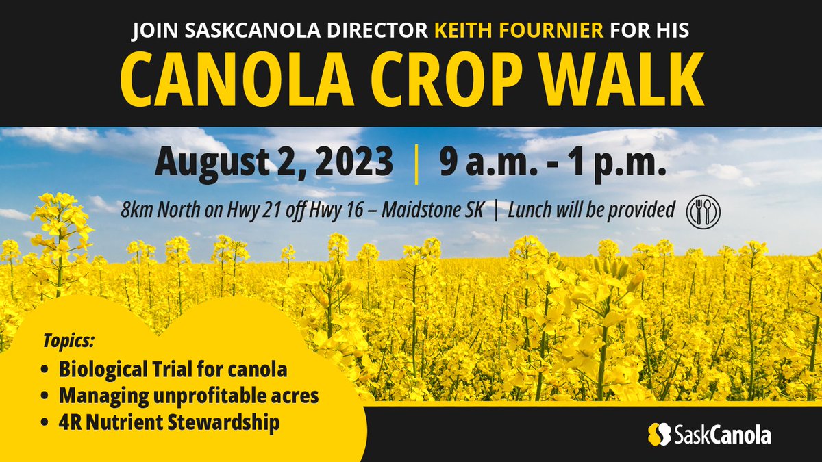 Farmers in NW Sask, spend the morning of August 2nd with SaskCanola Chair Keith Fournier on his farm near Maidstone for a #canola crop walk: saskcanola.com/upcoming-event…

Call (306) 975-0262 or email info@saskcanola.com to register for some great learning and networking in the field!