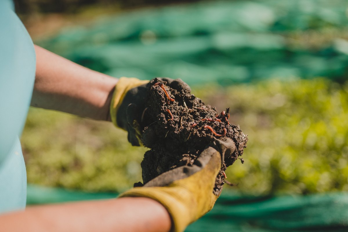 We combat #climatechange by accelerating the implementation of #methanemitigation projects in the waste sector! <a href="/CCAPolicy/">CCAP</a> <a href="/ImplementaSur/">ImplementaSur</a> 

We currently support 12 countries across the LAC &amp; Pacific Islands regions!

🌐➡ bit.ly/ROWeb

<a href="/environmentca/">Environment Canada</a> <a href="/Gmethanehub/">Global Methane Hub</a>