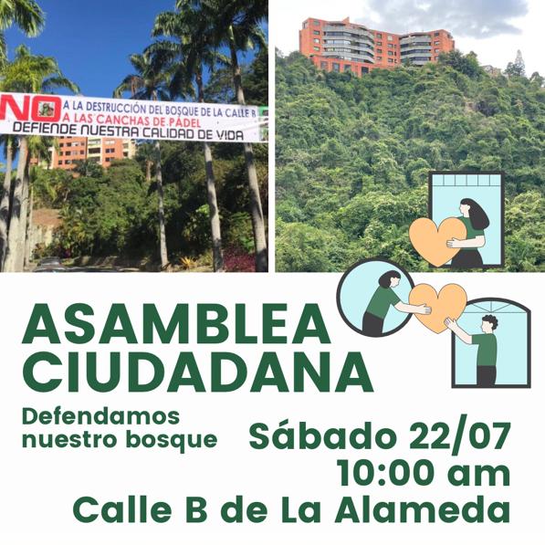 BarutaEnMov's tweet photo. Este sábado #22Julio a las 10 AM acompañemos a los vecinos de La Alameda a defender nuestro bosque, #NoALaTala #Ecologia #Verde #Baruta #NoAlEcocidioEnLaAlameda 
@AlcaldiaBaruta @PlantadosCCS @la_patilla @CaracasPlural https://t.co/eVSK29vHcZ