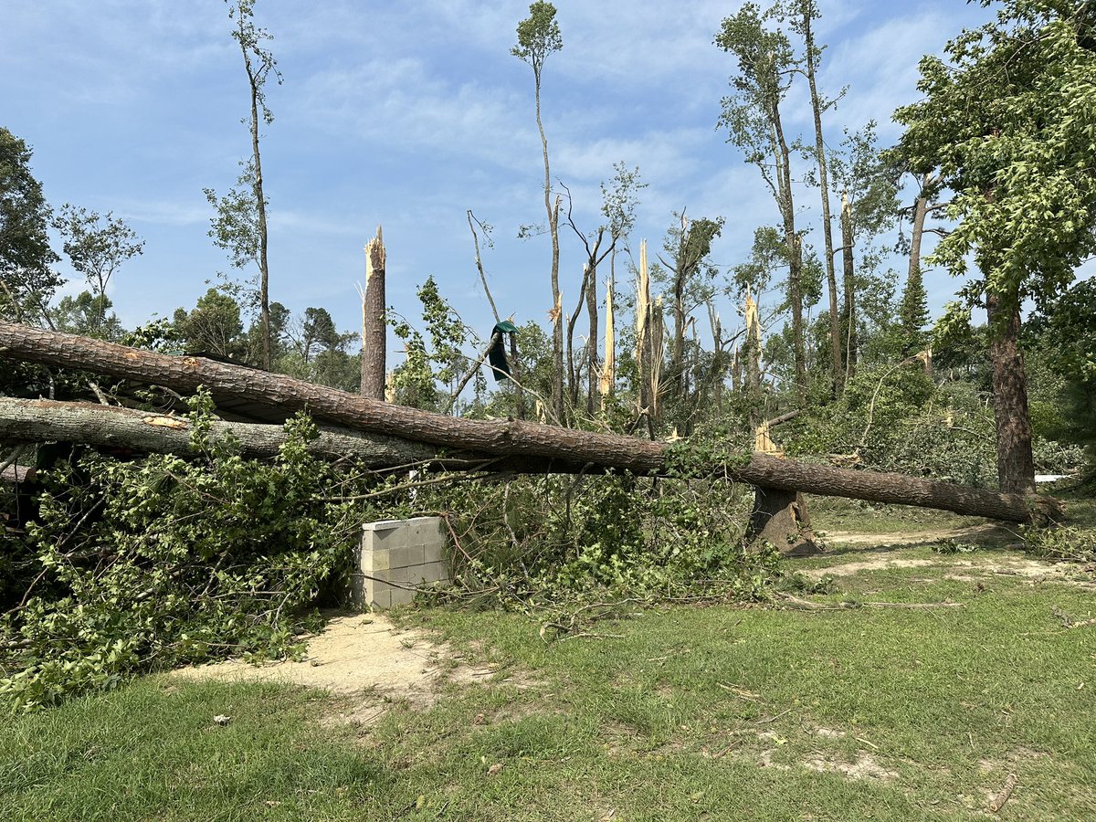JoshConnerTV's tweet photo. More photos from the daycare. Multiple trees fell on the house beside the daycare, and the playground has been destroyed. The director at St. Stephens says all kids are safe and have been picked  up by guardians and parents. @SpecNews1RDU https://t.co/GjdDRQCGKw