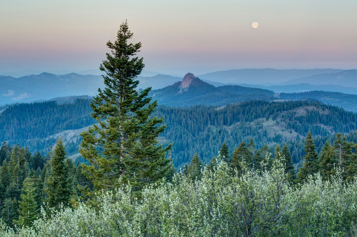Earthjustice's tweet photo. VICTORY! A second federal appeals court has upheld the expansion of the Cascade Siskiyou National Monument in Southern Oregon and Northern Oregon, again rejecting an industry bid to log in this national treasure famous for its beauty and biodiversity. https://t.co/0U6NZxaWLh