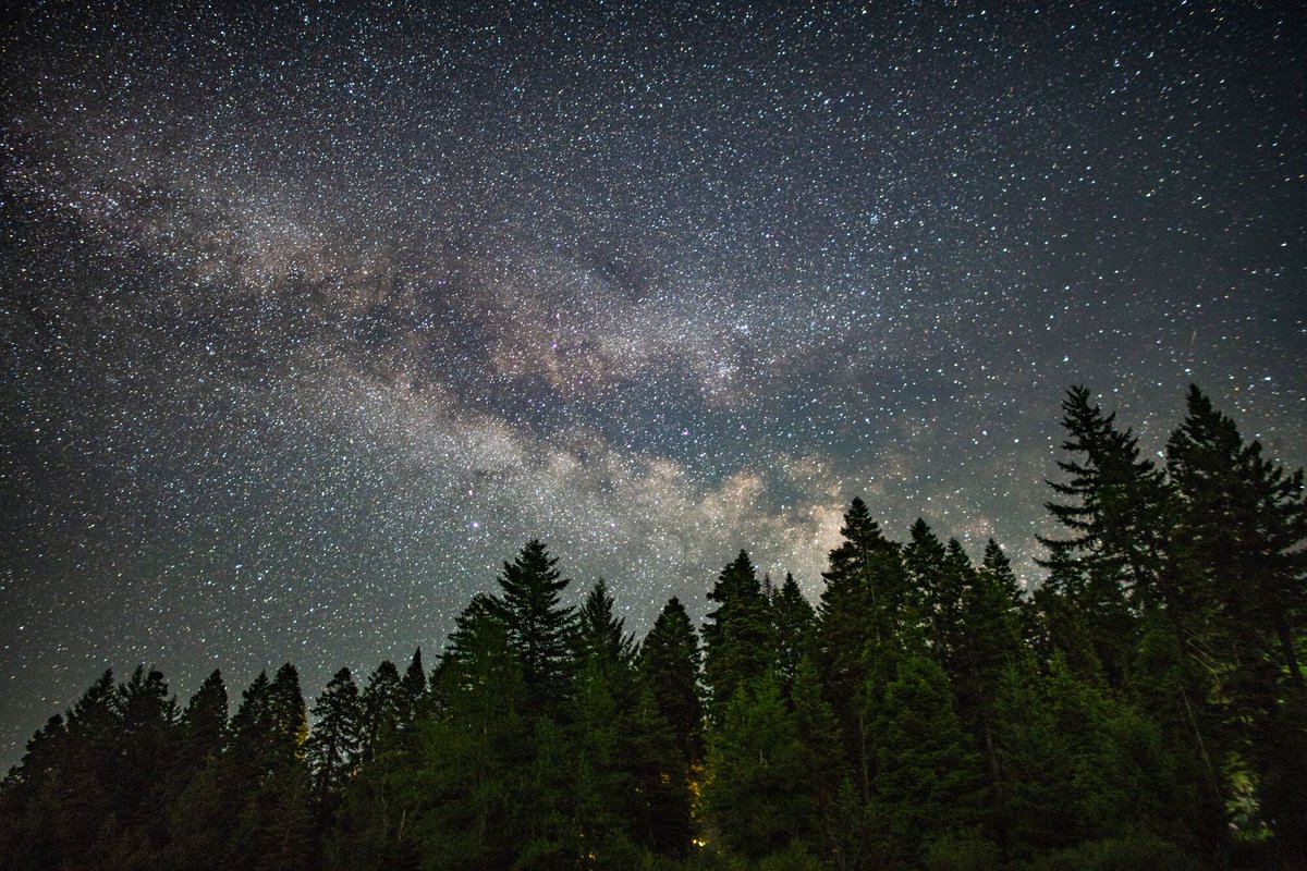 Earthjustice's tweet photo. VICTORY! A second federal appeals court has upheld the expansion of the Cascade Siskiyou National Monument in Southern Oregon and Northern Oregon, again rejecting an industry bid to log in this national treasure famous for its beauty and biodiversity. https://t.co/0U6NZxaWLh
