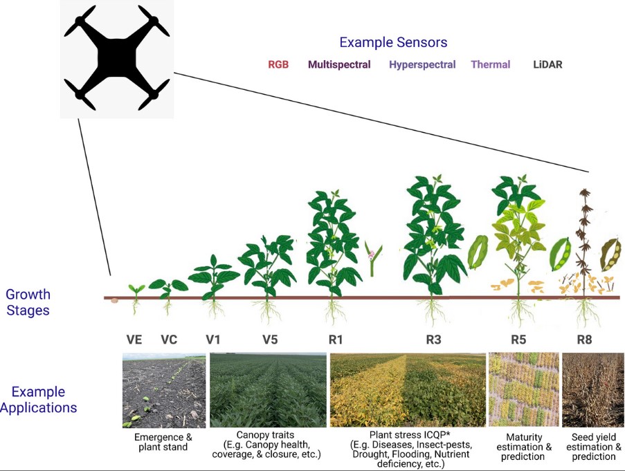 Crop Science 🌱 tweet media