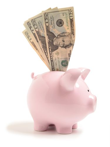 Save Money with Defect and Incident Management.  info@rbcs-us.com