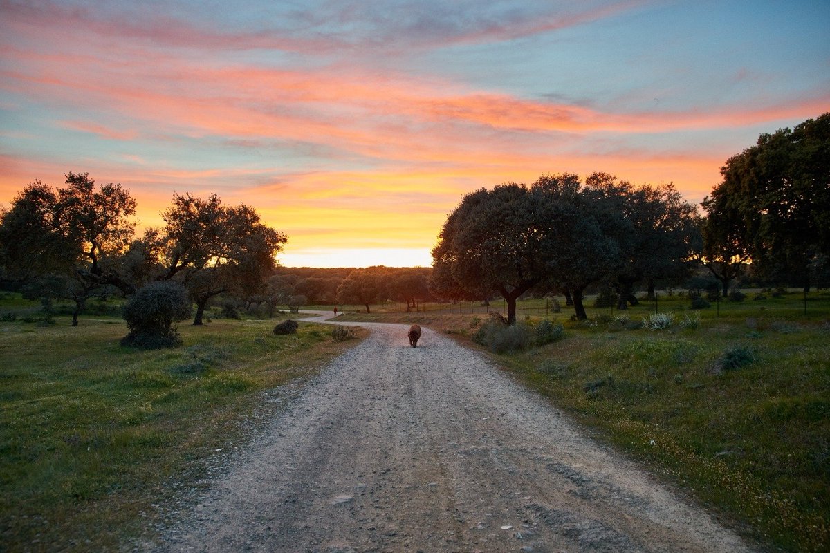 Incrível! Conseguimos num período  tempo surreal! Não há palavras que possam transmitir o que nos vai na alma! Extremamente GRATOS pela vossa bondade e por acreditarem na nossa causa. Esperamos ter boas notícias no final deste processo. OBRIGADO 🤗
O caminho faz-se caminhando...