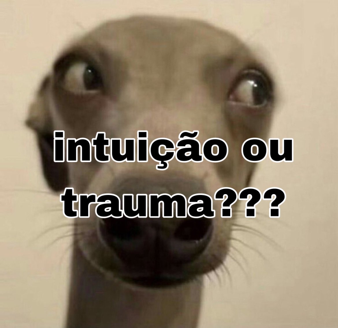 Lc_Bigodinho's tweet photo. Eu vindo olhar de o #whatsapp tinha caído aqui no tt https://t.co/QeJlAq8LNa