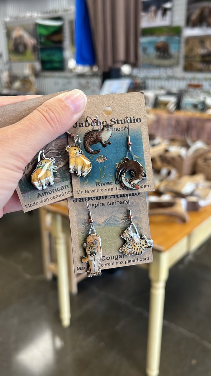 Amanda Cheeseman tweet media