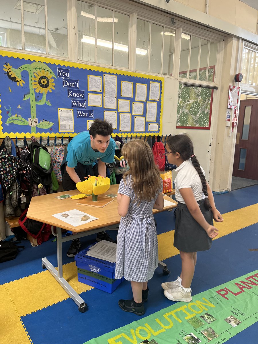 Earlsdon Primary tweet media