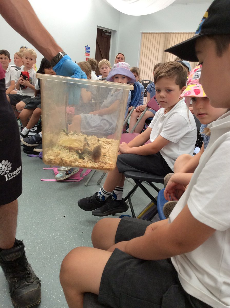 We then met Fezziwig the Barn Owl 🦉 and a teeny tiny harvest mouse 🐭. We learnt all about the features of birds and mammals. Ask us what we learnt! #billingshurstscience