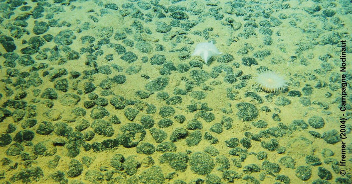 CNRSinformatics's tweet photo. #CNRSnews 📰 | Arthur, the robot archaeologist created by @VincentCreuze from @lirmm_, is the perfect instrument for the study of ecosystems. For example Nadine Le Bris from #LECOB studies the corals on deep-sea wrecks.
➡️ https://t.co/57XXpSimKv
🤝 @CNRS_OccitaniE @umontpellier https://t.co/ziUnIlR5bW