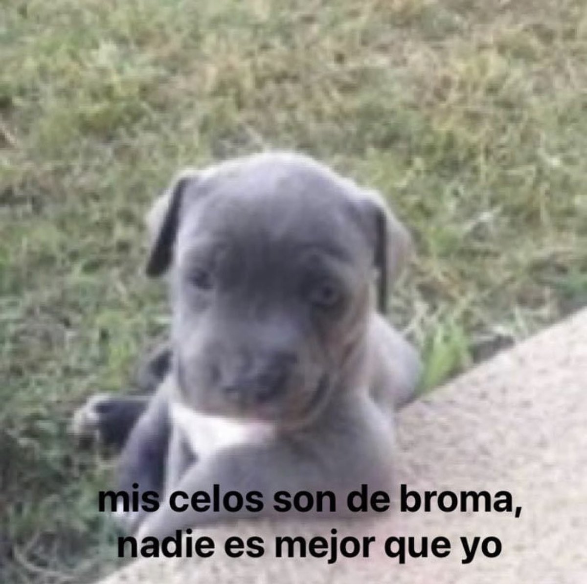 El Guarromántico (@guarromantico_) on Twitter photo 