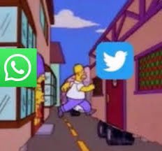 Yo entrando a Twitter para saber qué pasó con WhatsApp 😭
#WhatsAppCaido