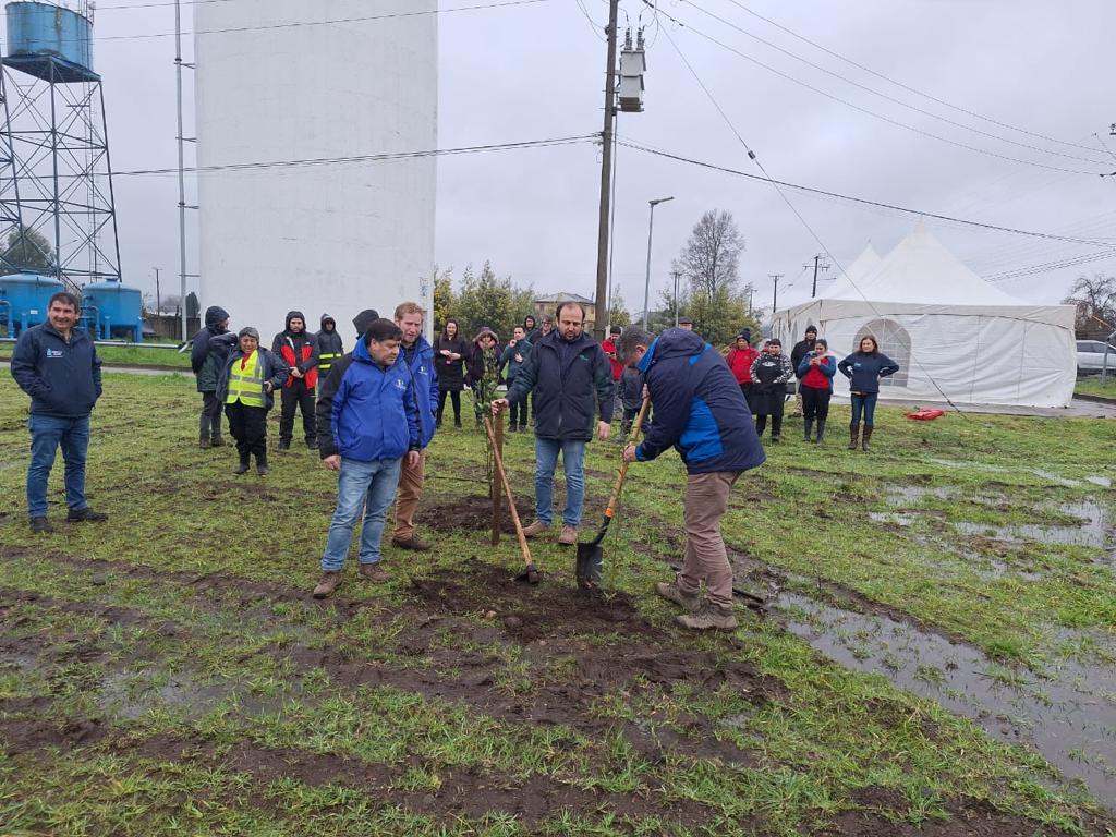 CONAF Los Ríos tweet media
