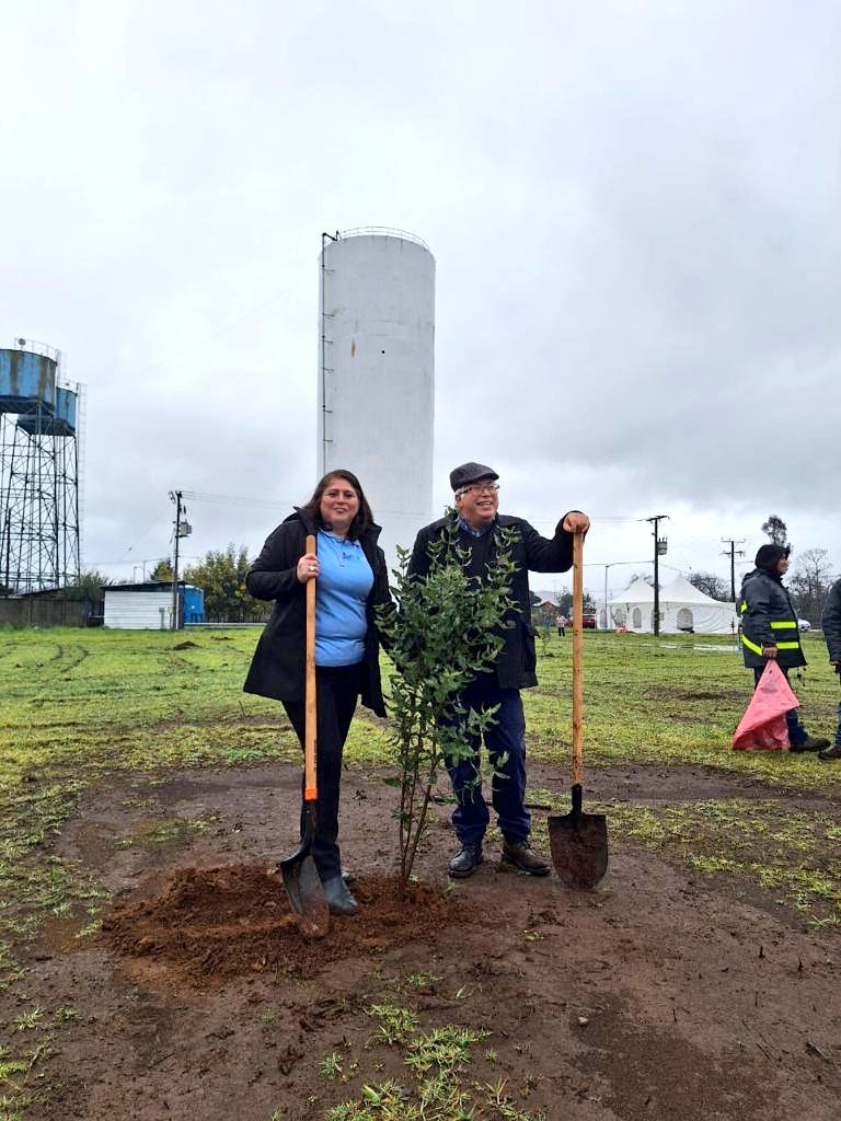 CONAF Los Ríos tweet media