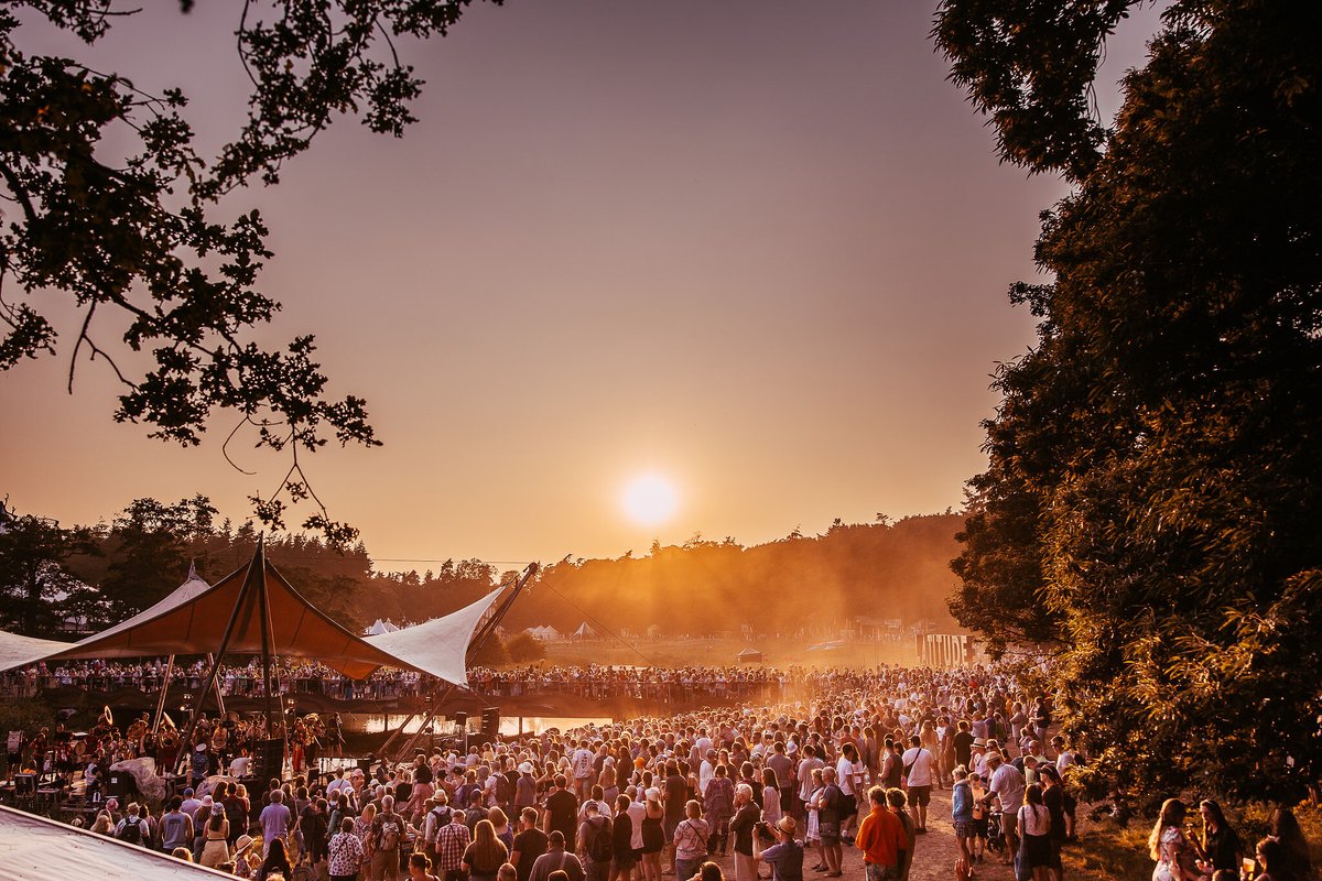 Latitude Festival tweet media