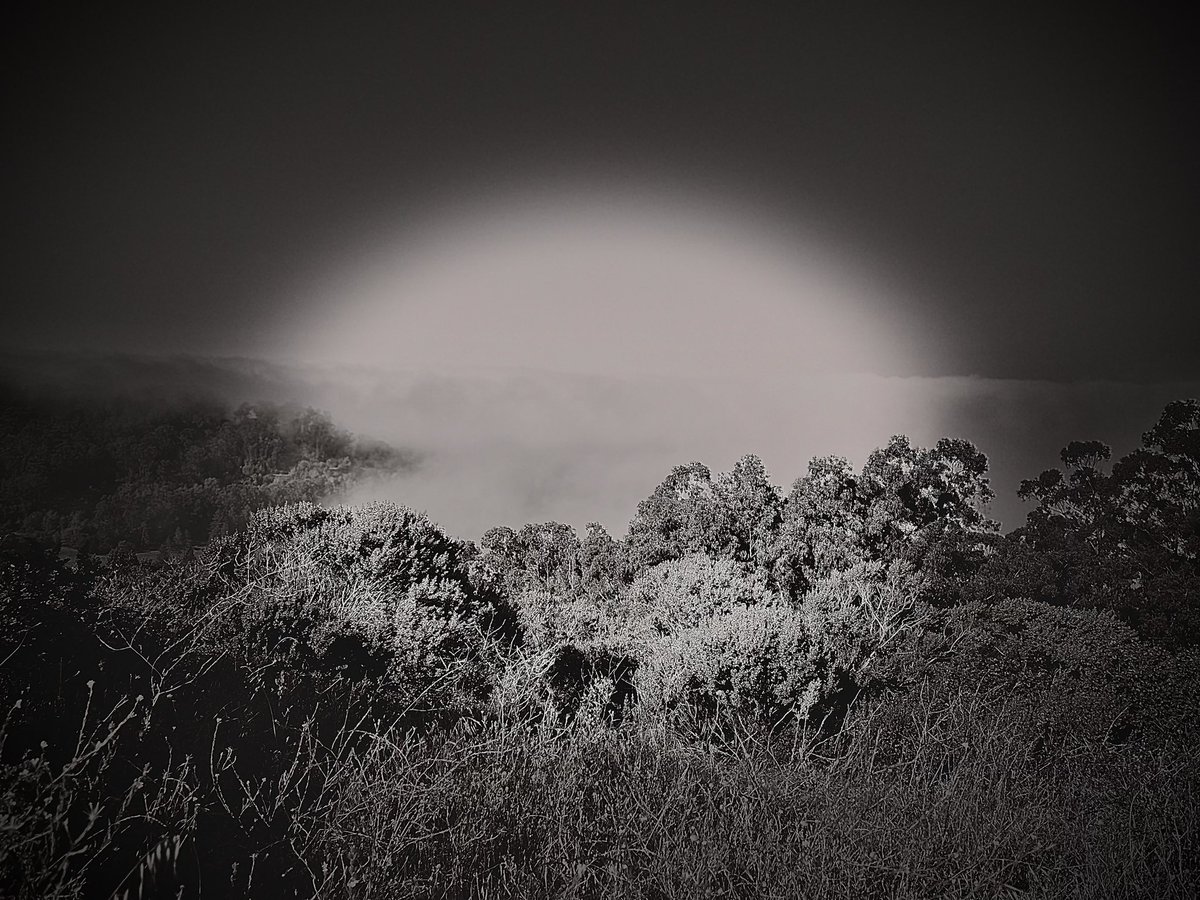 I found myself here.
#Enlighenment