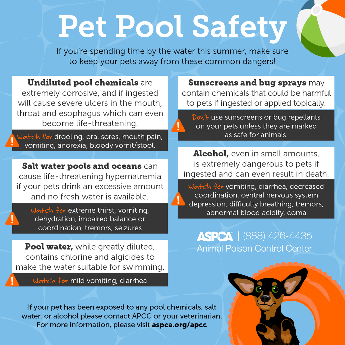 On #WellnessWednesday, we share pet safety tips. Check out these common dangers and share this with your community to keep pets safe this summer. #aspca #summer #animalwelfare #petsafety #vetmed