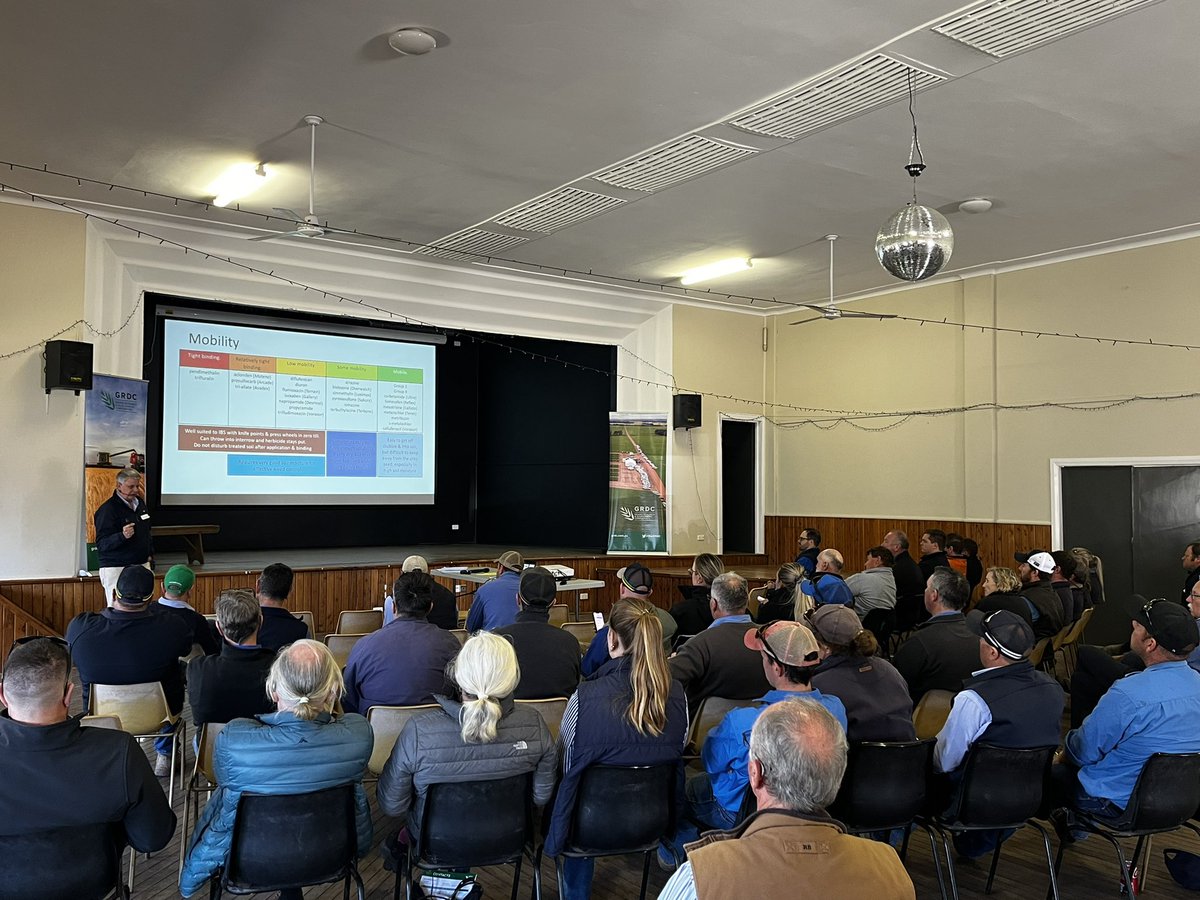 ArdinaJackson's tweet photo. #theGRDC Bellata update https://t.co/by21djFQI9