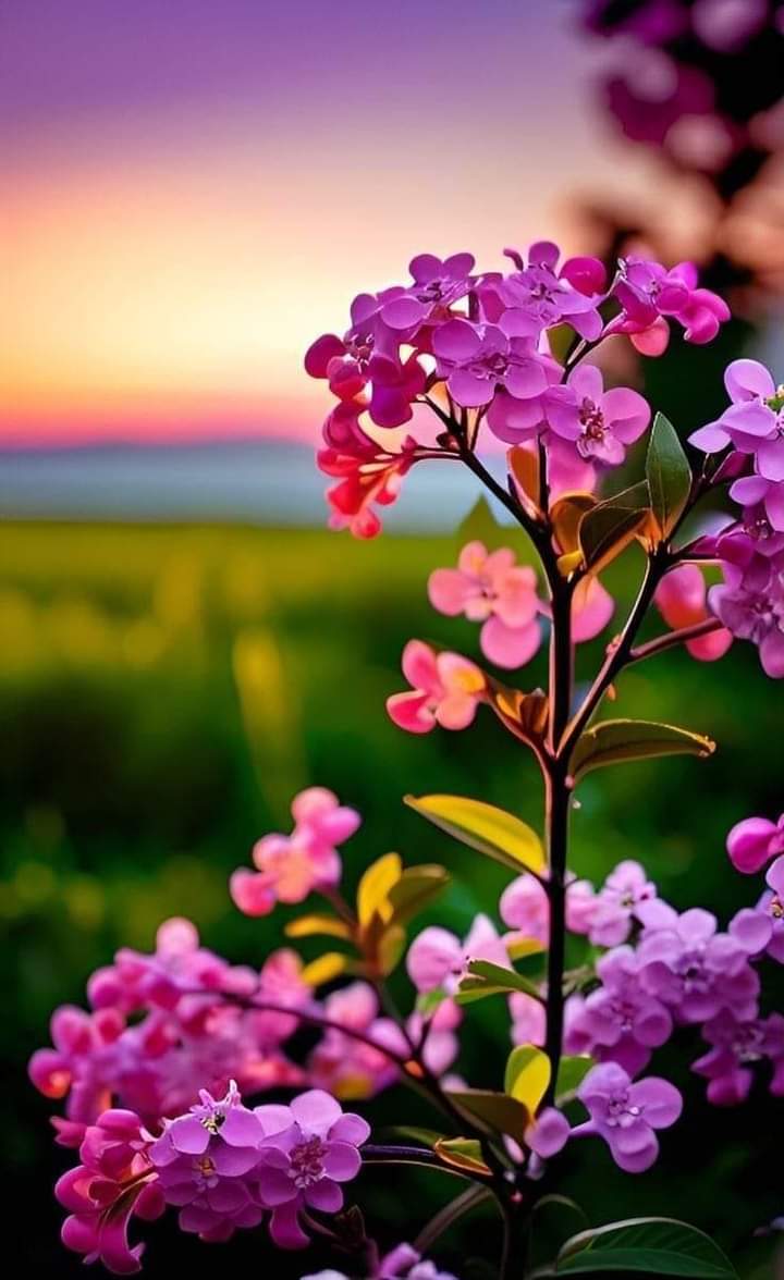 Jaal Sunoro Awol (@awolsunoro) on Twitter photo 