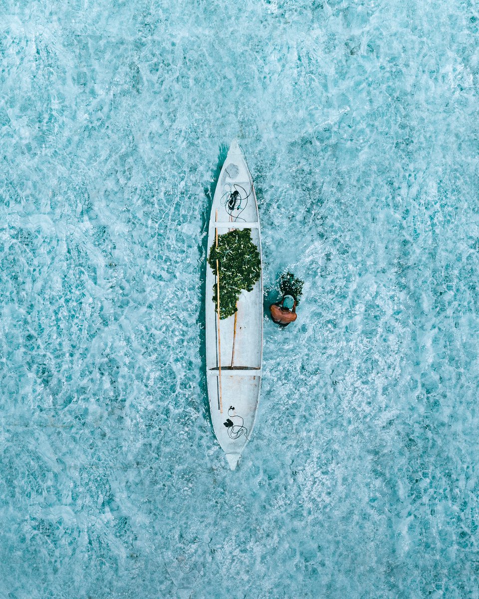 Gm guys, it’s been a while 👨🏾‍🌾 
#nftphotography