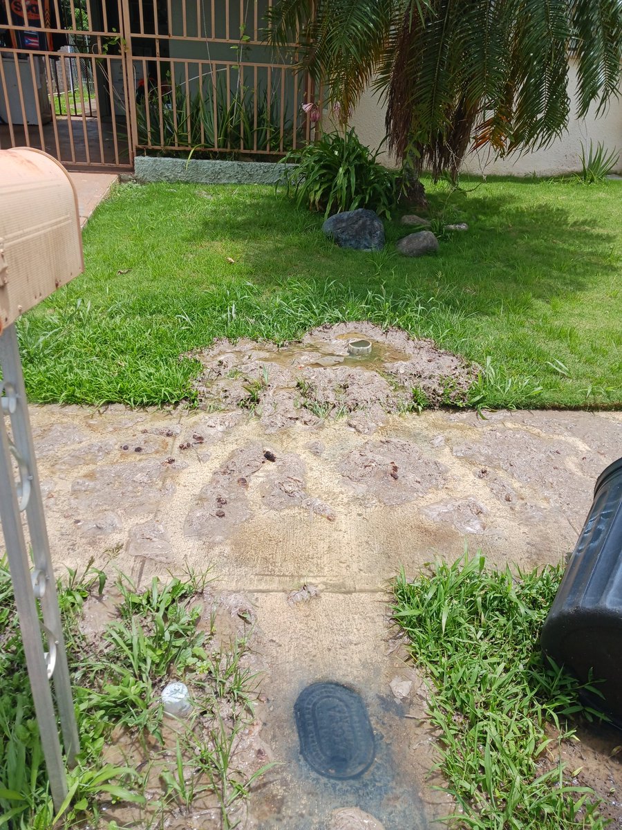 prrudy's tweet photo. @ACUEDUCTOSPR y sige el río de 💩 de toa alta y @ACUEDUCTOSPR  no hace NADA . Con el calor, el olor es 🤢🤢🤮🤮  le gustan cobrar pero cuando los necesita no se encuentra para NADA .. buen trabajo @ACUEDUCTOSPR https://t.co/YtGSWfz8uY
