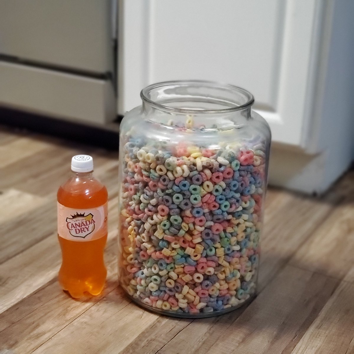 New_Hoodies's tweet image. #FrootLoops