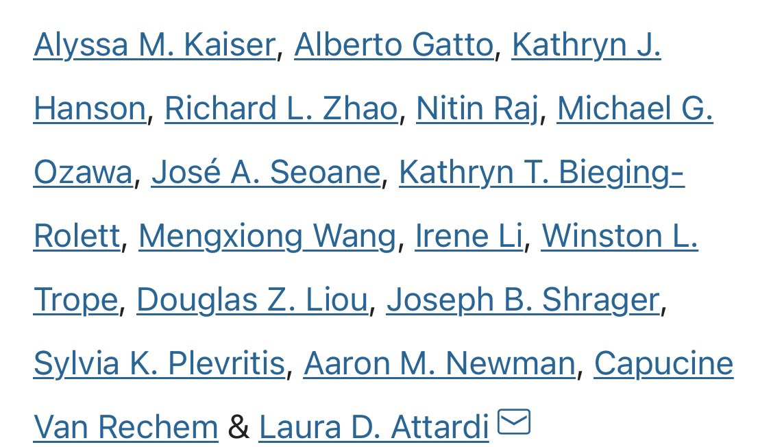 Alyssa Kaiser tweet media