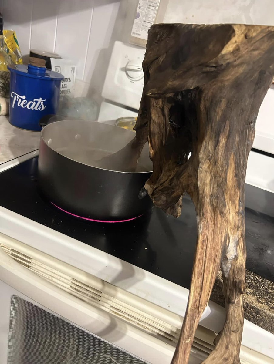 Masked Faces tweet media