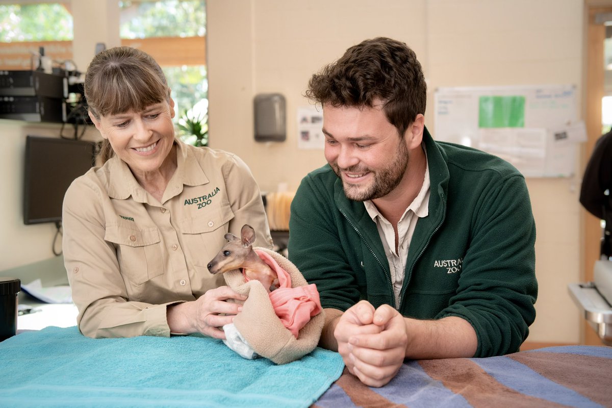 Happy Birthday, Terri! 🥳 Whether we’re raising the smallest kangaroo joeys, or putting trackers on the biggest crocodiles, every day is an adventure. Wishing you a day full of love, cake and kangaroo cuddles! 💛 @TerriIrwin