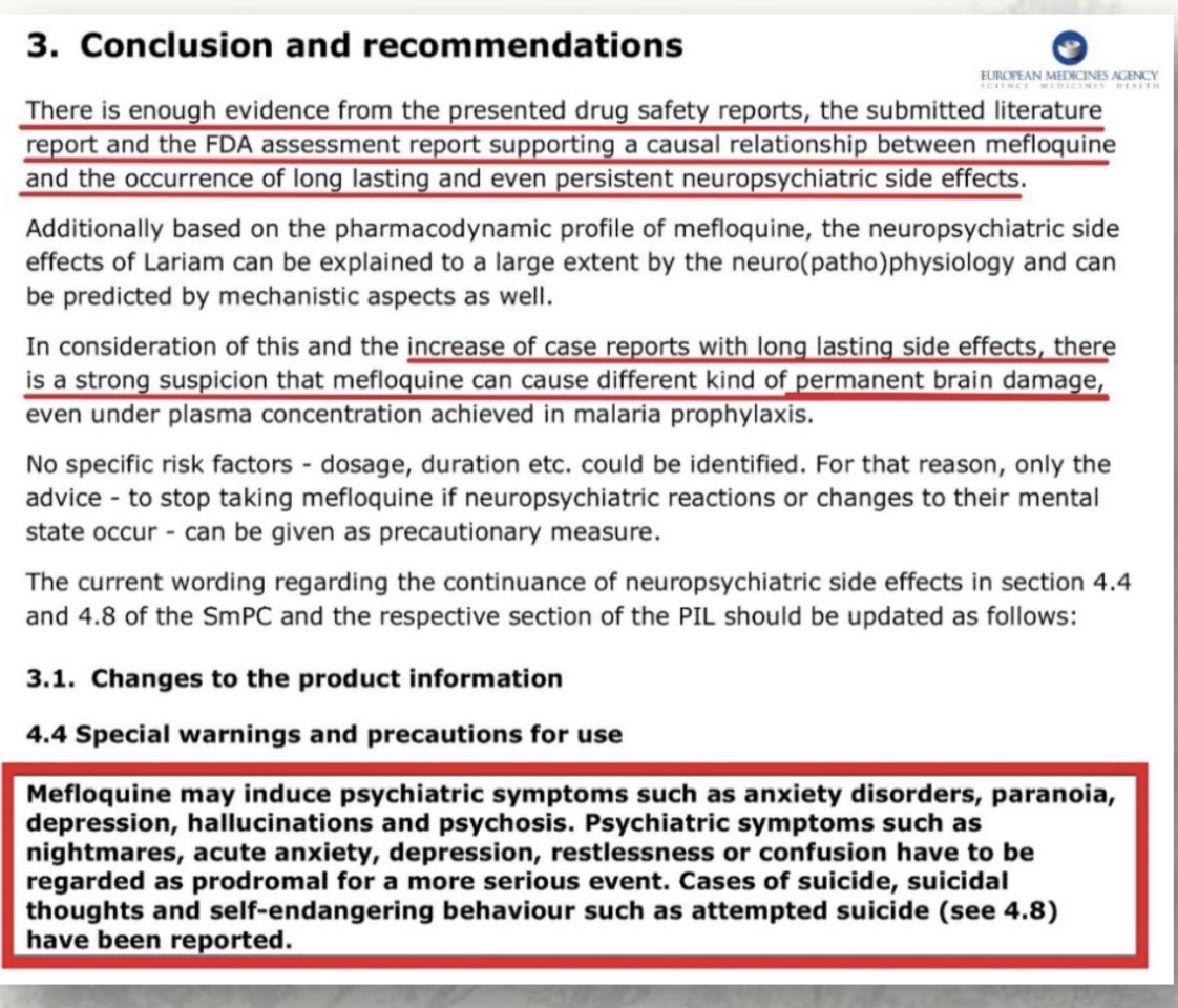 Dave 🇬🇧💂🏼‍♂️⚔️🪖 tweet media