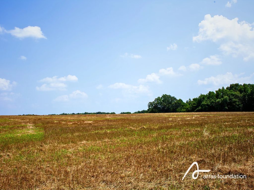 “The Arras Foundation is proud to join the public-private partnership dedicated to preserving this important open space for current and future generations,” said Chair, Lisa Bridges. 

🗞️ Read more about this historic partnership here: pmg-sc.com/the_lancaster_…