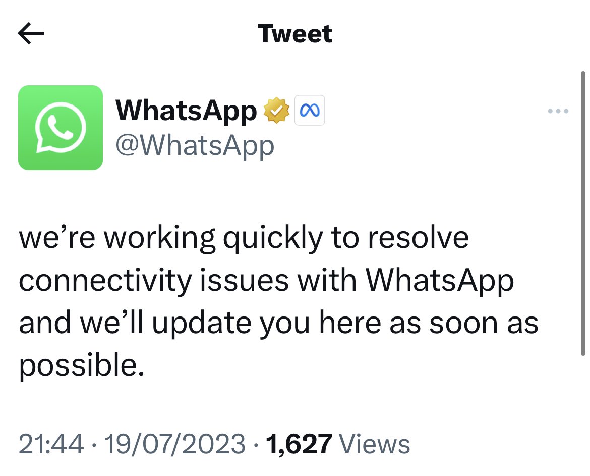 Lee Bright tweet media