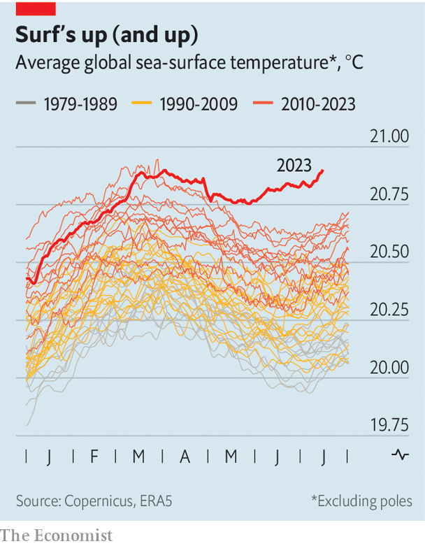 Alex Selby-Boothroyd tweet media