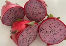 Andy López tweet media