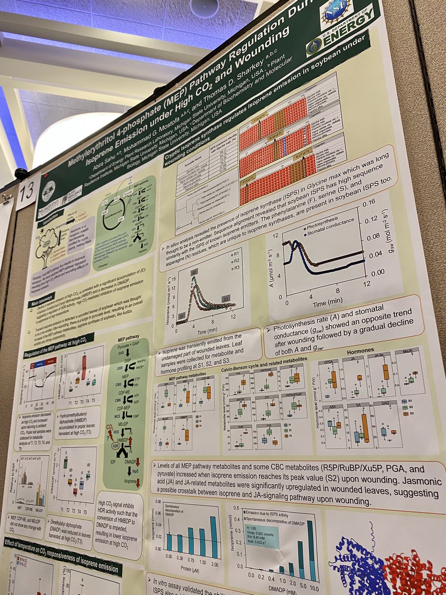 Presenting our recent findings from isoprene research of <a href="/SharkeyLabMSU/">Sharkey Lab</a> at PSNA 2023. Thanks to <a href="/psnaofficial/">Phytochemical Society of North America</a>, @BjoernHamberger, and all the organizers for the opportunity. Thanks to all who attended my talk and poster 🙂🙂