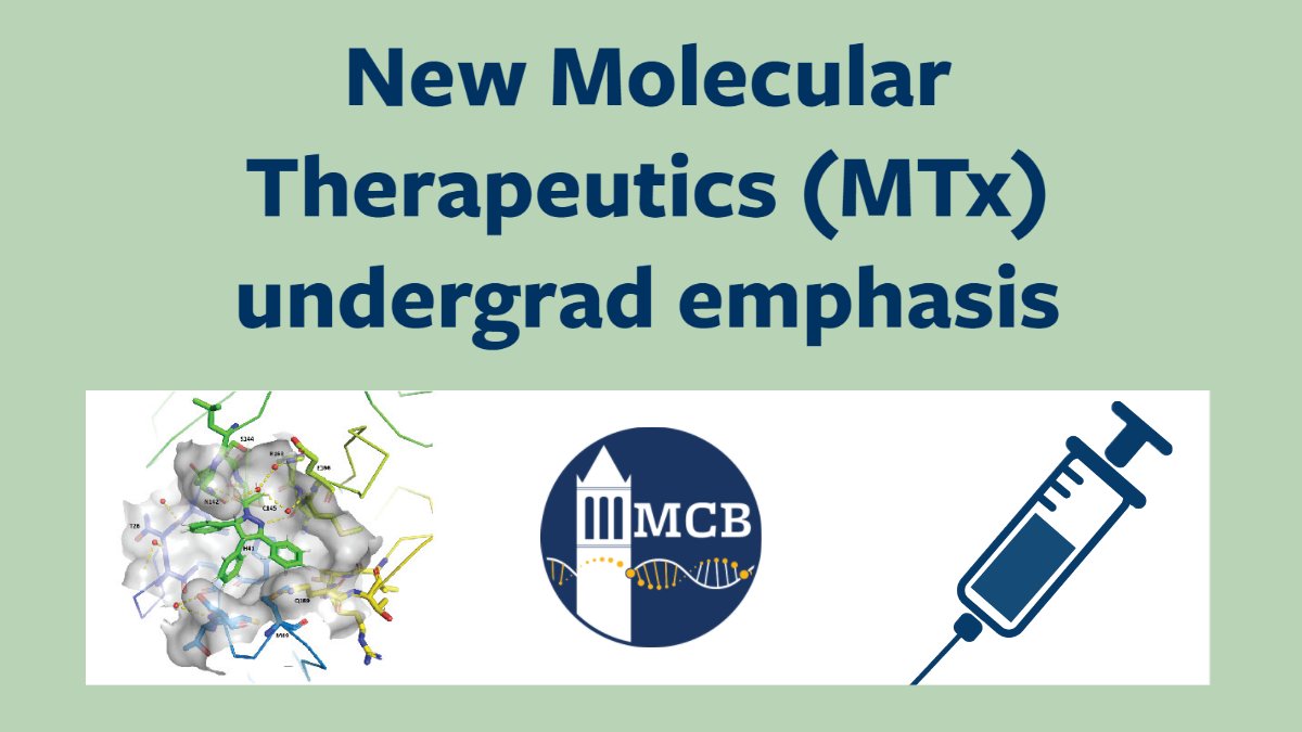 MCB's newest division, Molecular Therapeutics (MTx), has officially launched and undergraduates now have the option to pursue this new major emphasis with classes starting this Fall 2023! 🧪💉📚mcb.berkeley.edu/news-and-event…