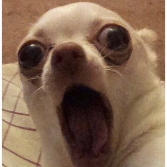 when you find out Lip Masks are only $5 rn on colourpop.com!!