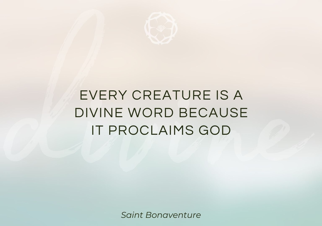 🌿 'Every creature is a divine word because it proclaims God.' - St. Bonaventure 🙏✨ Embrace the beauty and wisdom that surrounds us daily. 🌍🌺 #DivineNature #StBonaventureQuotes 🌿🌟
#catholic #romancatholic #catholicism #HamOntCatholic #whatasaintsaid ⁠#StBonaventure