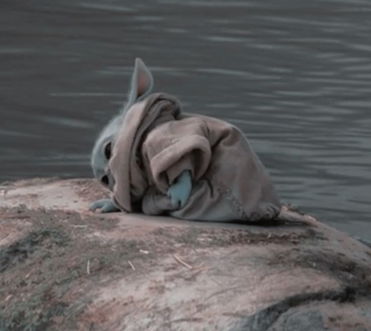 𝚃𝙷𝙴 𝙵𝙾𝚄𝙽𝙳𝙻𝙸𝙽𝙶 tweet media